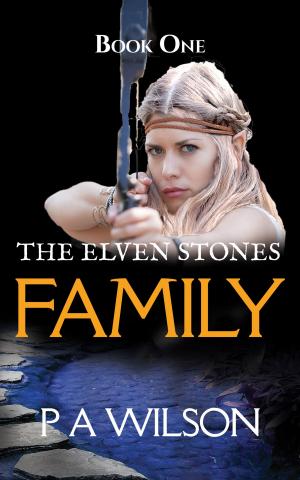 Cover of the book The Elven Stones: Family by Matthew David Brough