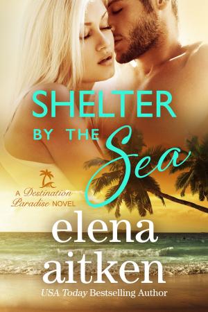 Book cover of Shelter by the Sea