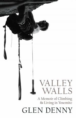 Cover of the book Valley Walls by Patrick Wilkins