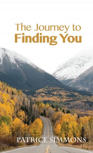Cover of the book Journey to Finding You by Jorgen Peter Muller