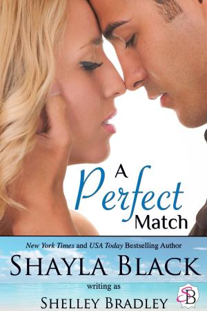 Cover of the book A Perfect Match by Shelby Mitchell