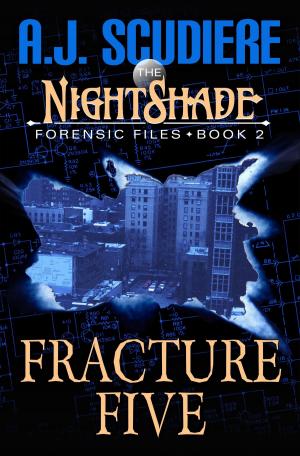 Cover of the book Fracture Five by AB Stonebridge