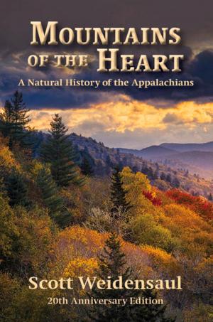 Cover of the book Mountains of the Heart by Julie Dunlap