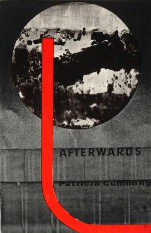 Cover of the book Afterwards by Brian Turner