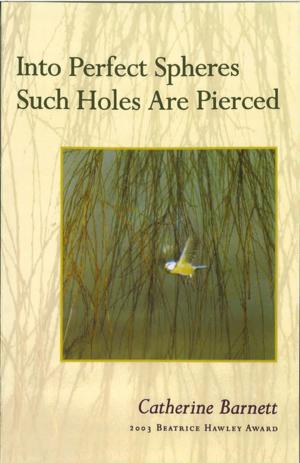 Cover of Into Perfect Spheres Such Holes Are Pierced