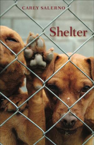 Cover of the book Shelter by Annelies George