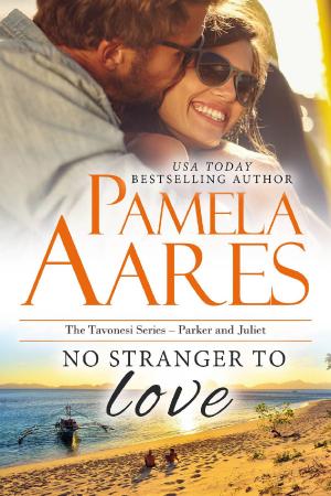Cover of the book No Stranger to Love by Annie Rivers