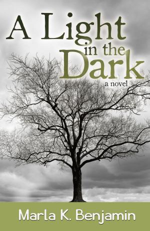 Cover of the book A Light in the Dark by Donna Gentry Morton