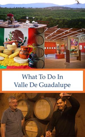 Cover of the book What To Do In Valle De Guadalupe by Michelle Nichols
