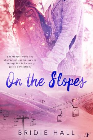 Cover of the book On the Slopes by MS Kaye
