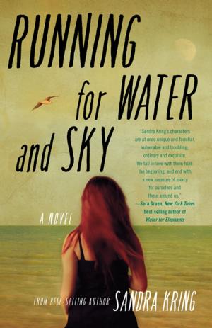 Cover of the book Running for Water and Sky by Colleen Oakes