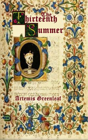Book cover of The Thirteenth Summer