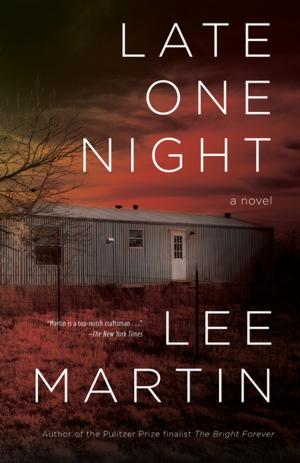 Cover of the book Late One Night by Jonathan Baumbach