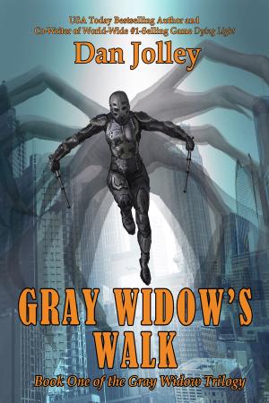 Book cover of Gray Widow's Walk