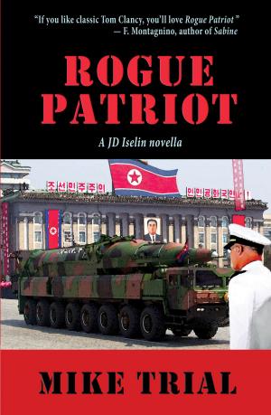 bigCover of the book Rogue Patriot by 
