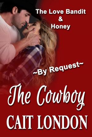 bigCover of the book The Cowboy by 