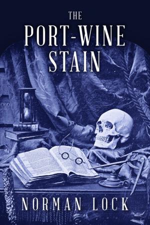 Cover of the book The Port-Wine Stain by Norman Lock