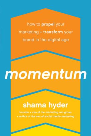 Cover of the book Momentum by Jeffrey L. Rinek, Marilee Strong