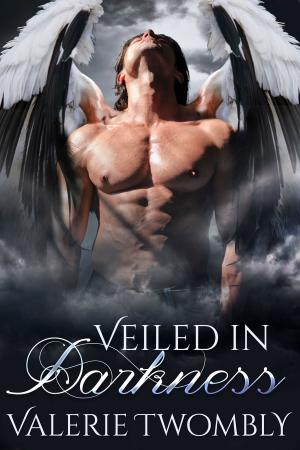 Cover of the book Veiled In Darkness by Cindy Carroll