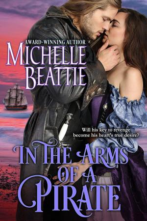 Cover of the book In the Arms of a Pirate by Sue Chamblin Frederick