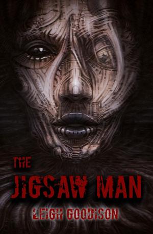 Cover of the book The Jigsaw Man by Julien Boyer