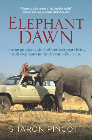 Cover of the book Elephant Dawn by Georgia Blain