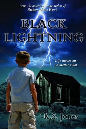 Cover of the book Black Lightning by Christian Laforet, Ben Van Dongen