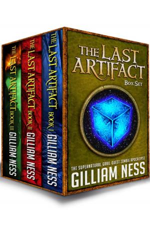 Book cover of The Last Artifact Boxset