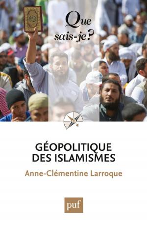 Cover of the book Géopolitique des islamismes by Jean Favier