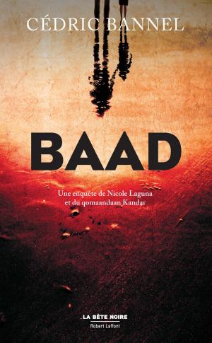 Cover of the book Baad by Michel PEYRAMAURE