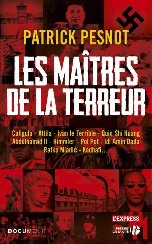 Book cover of Les maîtres de la terreur