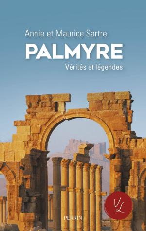 Cover of the book Palmyre by Janis OTSIEMI