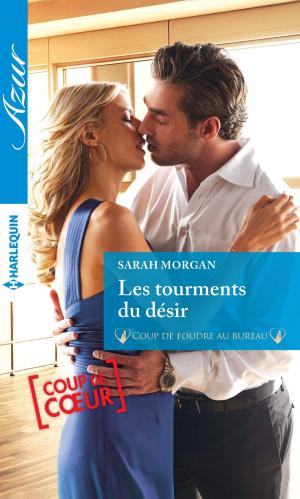 Cover of the book Les tourments du désir by Paula Altenburg