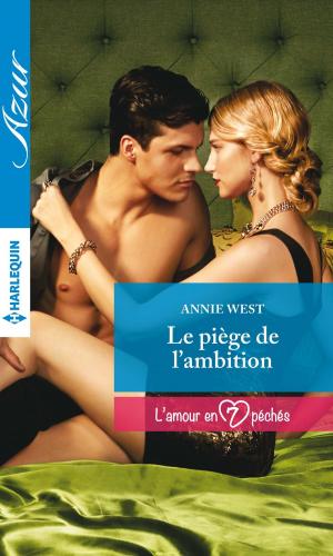 Book cover of Le piège de l'ambition