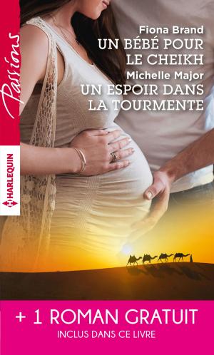 Cover of the book Un bébé pour le cheikh - Un espoir dans la tourmente - Séduite malgré elle by Ann Evans