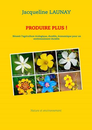Cover of the book Produire plus ! by Günter von Hummel