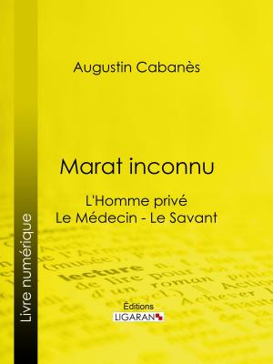 Cover of the book Marat inconnu by Philibert Audebrand, Ligaran
