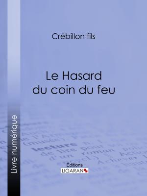 Cover of the book Le Hasard du coin du feu by Étienne Vacherot, Ligaran