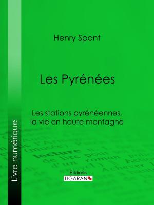Cover of the book Les Pyrénées by Emile Bergerat