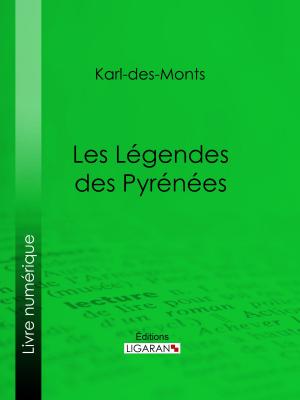 Book cover of Les Légendes des Pyrénées