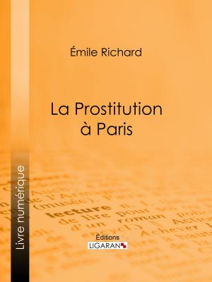 Cover of the book La Prostitution à Paris by Camille Doucet, Ligaran