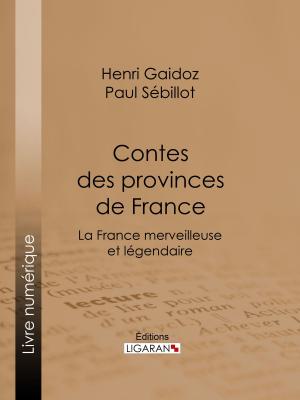 Book cover of Contes des provinces de France