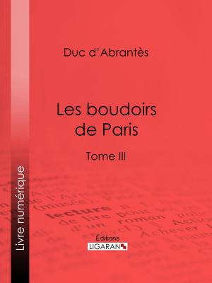 Cover of the book Les Boudoirs de Paris by Paul Bourget, Ligaran