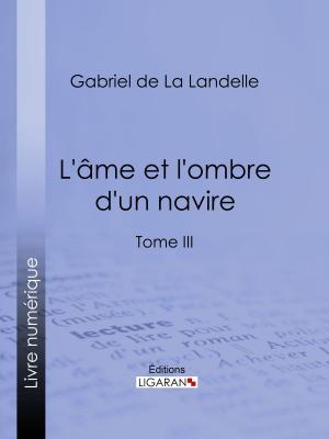 Cover of the book L'Ame et l'ombre d'un navire by Paul Arène, Ligaran