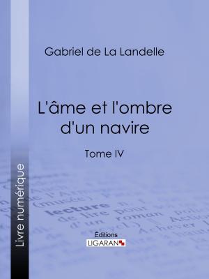 Cover of the book L'Ame et l'ombre d'un navire by Ligaran, Denis Diderot