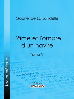 Cover of the book L'Ame et l'ombre d'un navire by Pierre Maine de Biran, Ligaran