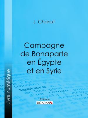 Cover of the book Campagne de Bonaparte en Égypte et en Syrie by Jean Rouxel, Ligaran