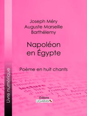 Cover of the book Napoléon en Égypte by Eugène-Victor Briffault, Ligaran
