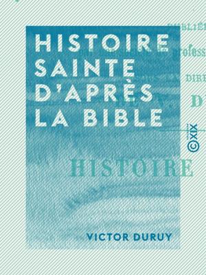 Cover of the book Histoire sainte d'après la Bible by Erckmann-Chatrian