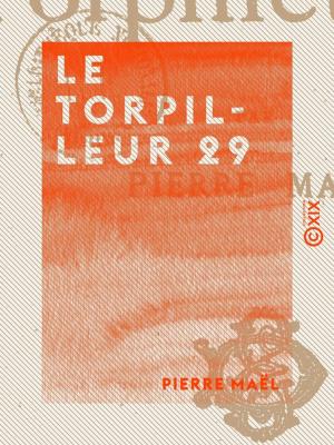 Cover of the book Le Torpilleur 29 by Bénédict-Henry Révoil